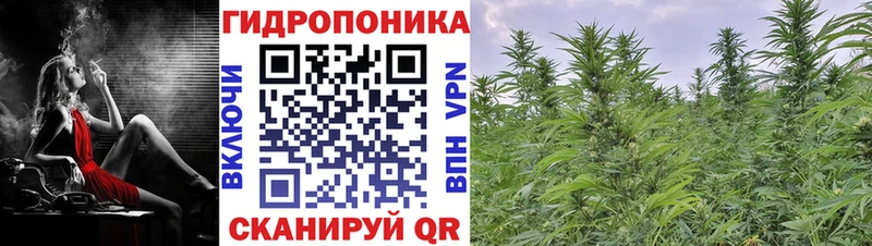 Наркотические вещества Черноголовка Галлюциногенные грибы  СК  МЕФ  COCAIN 
