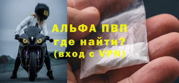 молекула духа Арсеньев