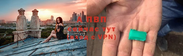 ПСИЛОЦИБИНОВЫЕ ГРИБЫ Переславль-Залесский