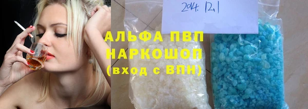 молекула духа Арсеньев