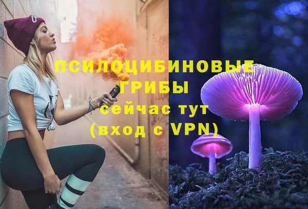 молекула духа Арсеньев