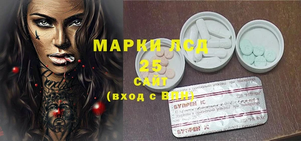 ПСИЛОЦИБИНОВЫЕ ГРИБЫ Переславль-Залесский