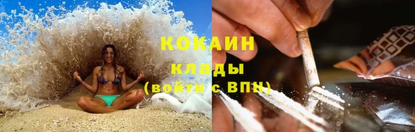 молекула духа Арсеньев