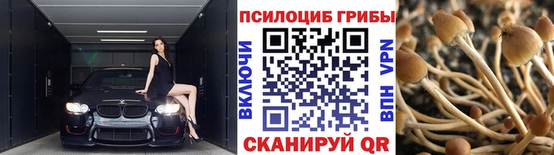 Псилоцибиновые грибы мухоморы  мориарти телеграм  Черноголовка 